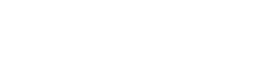 TriROOTS Inc